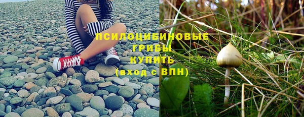 a pvp Абинск