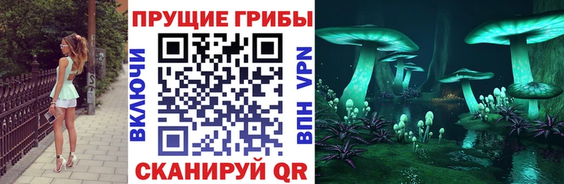 Псилоцибиновые грибы мухоморы  дарнет шоп  Усолье-Сибирское 