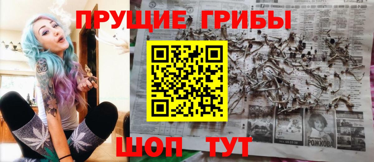 Псилоцибиновые грибы MAGIC MUSHROOMS  Вход с VPN  Усолье-Сибирское 